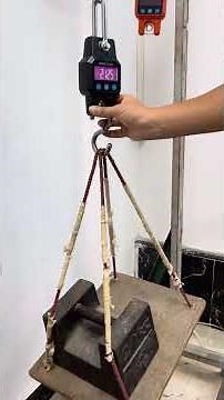 WH-C06 calibration 300kg hanging crane scale