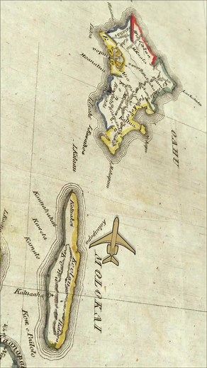 Paradise on Earth #oahu #hawaii #turtle #snorkeling #flying #honolulu