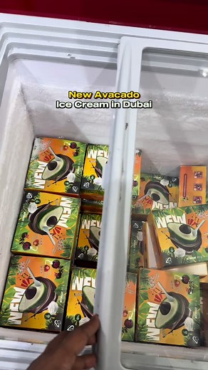 Unique Avocado Ice Cream Experience in Dubai