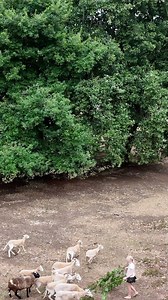 4.6K views · 34 reactions | In times like these, hard choices and...