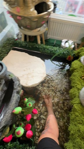 ฟิชสปา (Fish Spa) หรือ สปาปลา เป็นรูปแบบหนึ่งของสปา แบบวารีบำบัด (Hydro Therapy) โดยใช้ปลาที่มีพฤติกรรมการขัดดูด ซึ่งในธรรมชาติจะมีปากที่มีความสามารถในการกินอาหารพวกตะใคร่น้ำ ที่สำคัญต้องเป็นสายพันธุ์ที่ไม่มีฟันที่ริมฝีปาก #แม่มีสปาส่วนตัว | Wanlapa Schmidt