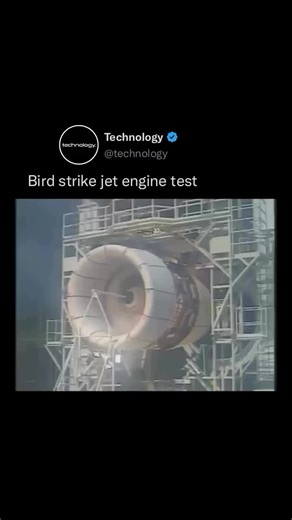 Bird Strike Jet Engine Test: Ensuring Aviation Safety | InnoVision Engineering posted on the topic | LinkedIn