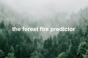 the forest fire predictor