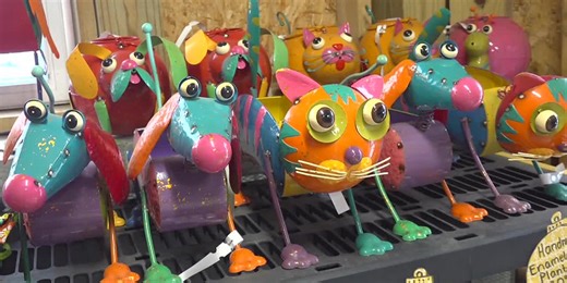 Small Business Saturday Boosts Local Shops with Unique Finds and Community Support