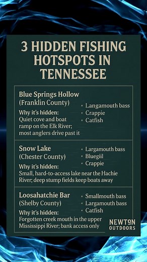 🔥 3 Hidden Tennessee Fishing Spots That Still Fly Under the Radar Tennessee is loaded with lakes and rivers… but these 3 fishing spots stay completely off most anglers’ maps. They’re quiet, lightly pressured, and tucked into spots where tourists never look — which means bigger bass, untouched crappie schools, and natural water that feels wild. Perfect for anglers who want real Tennessee backcountry fishing without the crowds. 👇 Which one are you fishing first? #TennesseeFishing #FishingTN #Hid