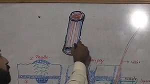 2.7K views · 225 reactions | #Structure_Of_Hairs #Share_Plz | Up Teaching Academy | Facebook