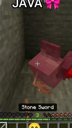 the difference between MINECRAFT JAVA And MINECRAFT bedrock #minecraft #minecraftsurvival