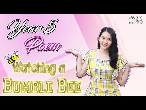 【ENGLISH YEAR 5】Poem: Watching a Bumble Bee by Wes Magee【学到】 | THERESA