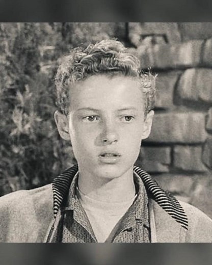 What happened to Ken Osmond after Leave it to Beaver ended