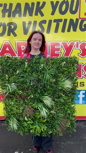 🌿 Artificial greenery wall panels 1×1 m — only £29.99 @barneysbargains! 🌿 Bring life to your space — no watering needed! Perfect for gardens, patios, bedrooms or business walls. 💚 #garden #gardendecor #barneysbargains #bobbydazzlerdeals