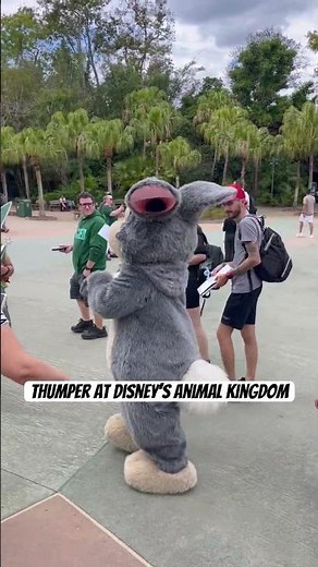 Thumper at Disney’s Animal Kingdom #disney #bambi #animalkingdom #shorts