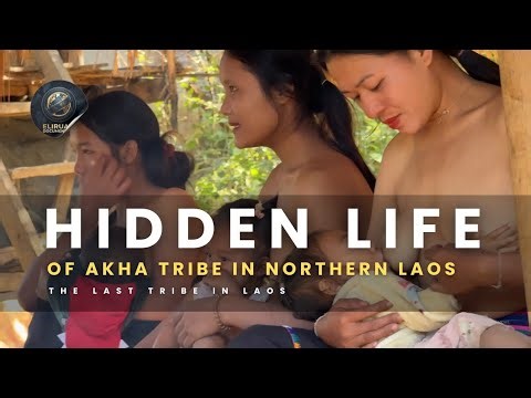 Akha Tribe Life in Laos 🇱🇦 | Rare Hill Tribe Culture