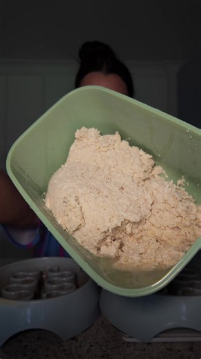 Bentley & Bambi’s Dinner 🍚