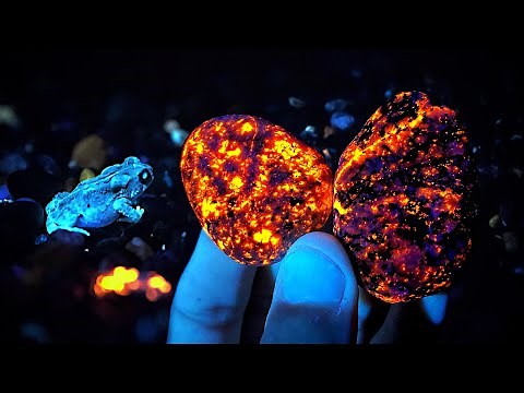 Incredible GLOWING Yooperlite Rocks, BLUE Crystals, Garnets and MORE Found in Michigan