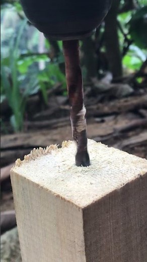 Best Drill Bits for Wood – Choosing the Right One!