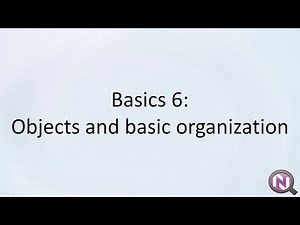 Basics 6: Objects and basic organization