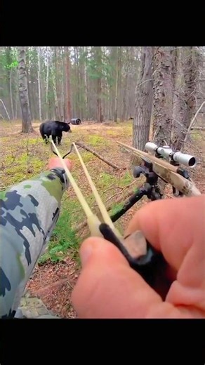 Close-Range Black Bear Hunt | Clean Slingshot Shot#challenge#chase#bear#hunting#