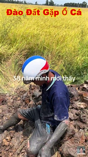 Đào đất phát hiện ổ cá trê #shorts