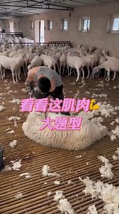 9.6K views · 11 reactions | Los beneficios de la excavadora facilitan el trabajo de los trabajadores. | Los Elotes y Preparados | Facebook