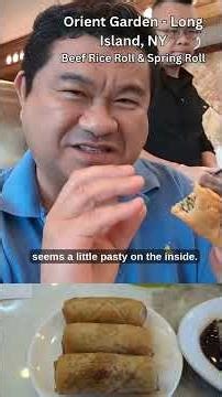 Orient Garden - Long Island NY - Spring Rolls and Beef Rice Rolls