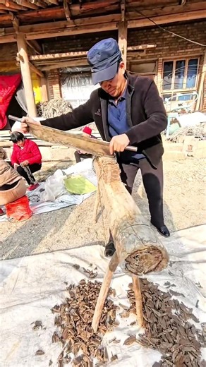 Sharpening a Giant Cleaver: Traditional Techniques #shorts