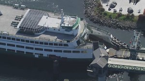 Washington state biologists rescue 33 pygmy rabbits