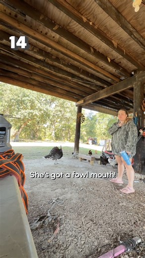 57K views · 541 reactions | Here's our round-up of the funniest animal videos of the past month! 藍Which was your fav?! #Dogs #Cats #AnimalReels #Funny | The Pet Collective | Facebook