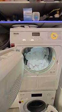 Programmende und Start Miele PT5135C Professional