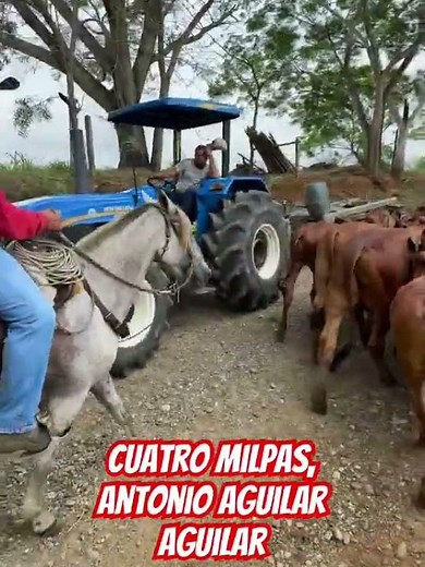 Cuatro milpas, Antonio Aguilar Aguilar