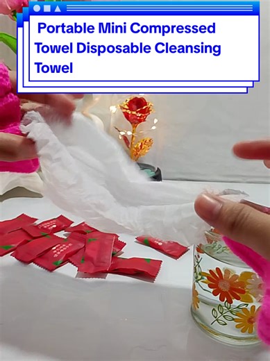 ChicHome Portable Mini Compressed Cleansing Towel Review