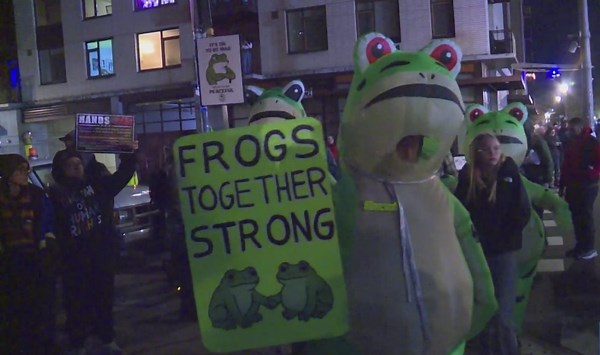 Portland Frog temporarily ordered to stay away from ICE facility