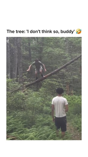 @epicvideosonig on Instagram: "In this hilarious forest fail, a guy confidently announces, "I'm doing one big thing and then jumping off this," while balancing on a fallen tree. His plan to use the trunk like a trampoline immediately backfires when the wood snaps under his weight. He plummet's face-first into the ferns, only to get an extra "bonk" on the head from the falling branch. It’s a perfectly relatable reminder that gravity always wins when your "one big thing" turns into one big disaste
