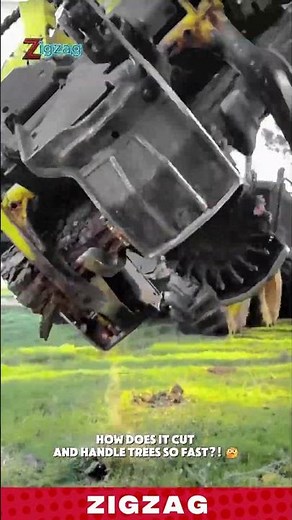 High-Speed Forestry Harvester Cutting Trees with Precision