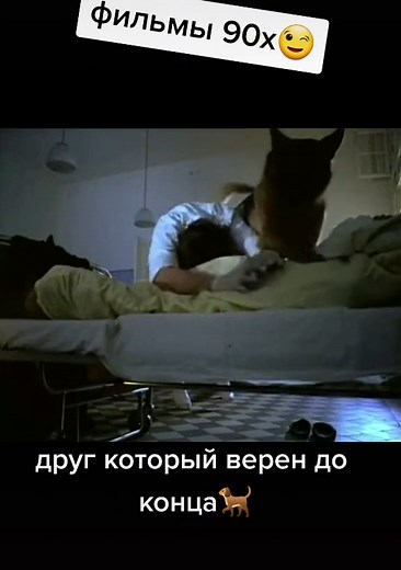 Комиссар Рекс: Песня и Заставка из 90-х