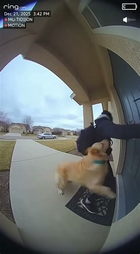 “Burglar Breaks Into House… Then This Dog Shows Up 😱 Instant Karma! (Part 1)”