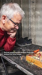 This Mouse Has Been Tidying for a Retired Postal Worker for Months