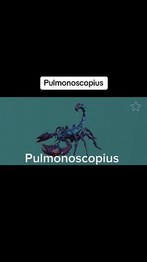 jerboaaa trên TikTok