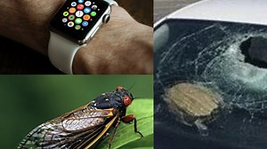 10 weirdest EMS stories of 2021