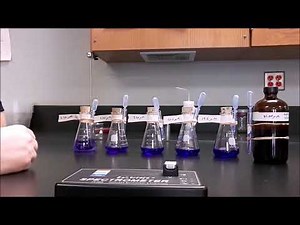 Lab Crystal Violet Calibration Curve