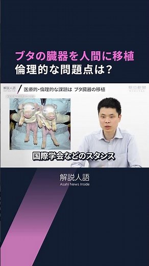 【解説人語】ブタの臓器が人類を救う？ 「異種移植」の現在地 医療的なリスク、倫理的な課題は？