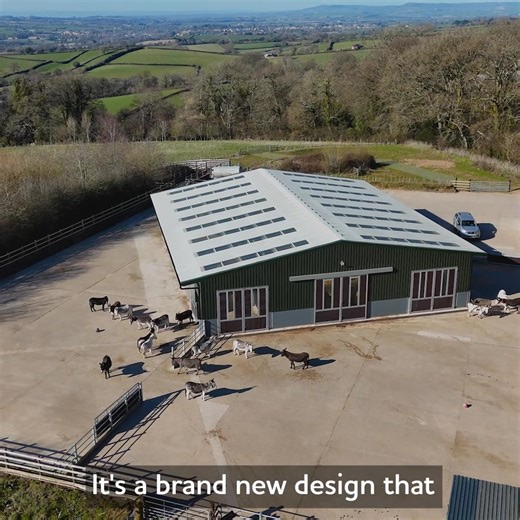19K views · 592 reactions | With your support, we can use innovation and expertise to create a better world for donkeys, wherever they are.  Introducing Hart's Barn: a pioneering new facility designed to promote health and comfort for its donkey residents  | The Donkey Sanctuary | Facebook