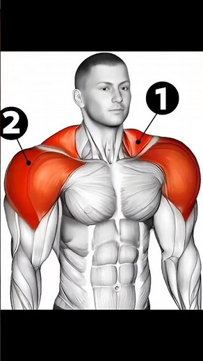 Top 6 Best Exercises for Full Body Transformation 🔥 | Ultimate Workout Guide