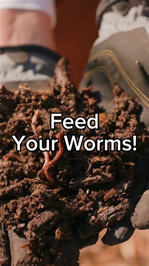 18K views · 124 reactions | Keeping your worms fed is one of the best...