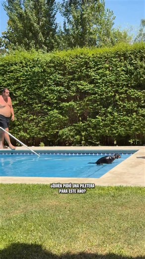 Soy Branca ✨ on Instagram: "Salchi piletera para este año ✨ Si necesitan que supervise en sus casas me avisan por privado 🤭 #dachshund #perrosalchicha #salchipiletero #swimmingdog #perronadando"