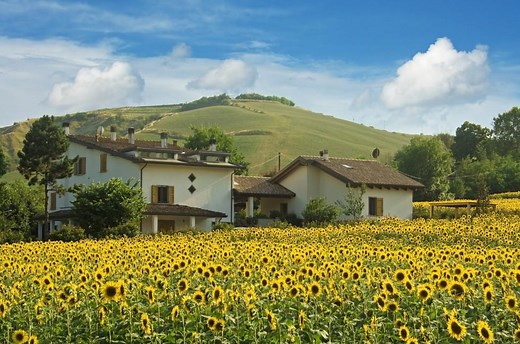 Emilia–Romagna Travel Guide - Expert Picks for your Vacation