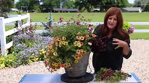 176K views · 8K reactions | Now's the time to start your plant wish list for next year's garden! Create an account at provenwinners.com, then click here to create an online wish list for next summer. Check it out! pwwin.rs/ideaboard | Proven Winners | Facebook