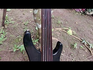 BASS FRETLESS SETUP || WASHBURN 6 STRINGS BASS GUITAR