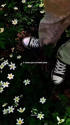 HOTEL ROOM – FLVCKKA | viral Latin trap edit | "vente para el hotel room" status 🏨🥂