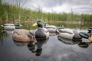 Best Duck Decoys for the 2022 Season