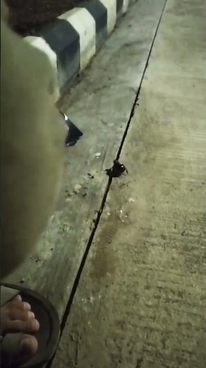 Iiit pune fune movement 😁😂